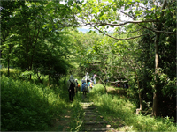 のんびりウォッチ「わかばの森で虫さがし」